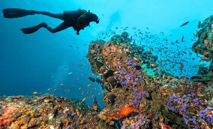 Exclusive Two-Tank South Island Dive